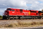 CP 7005